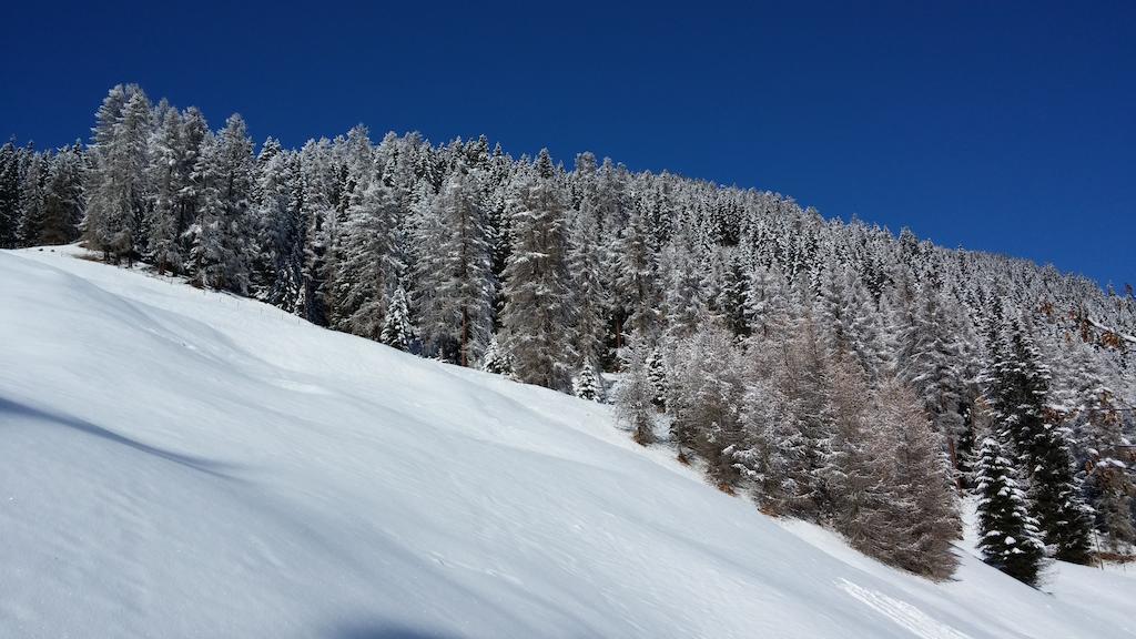 Ferienwohnung Gadenstatt Davos Bagian luar foto