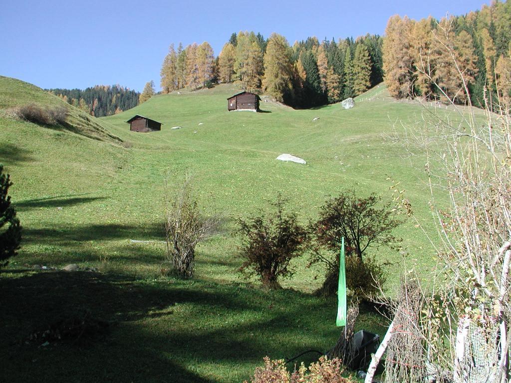 Ferienwohnung Gadenstatt Davos Bagian luar foto